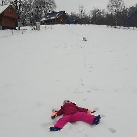 Przytulne Na Poddaszu Jelenia Góra Exterior foto