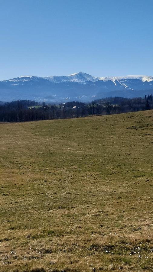 Przytulne Na Poddaszu Jelenia Góra Exterior foto