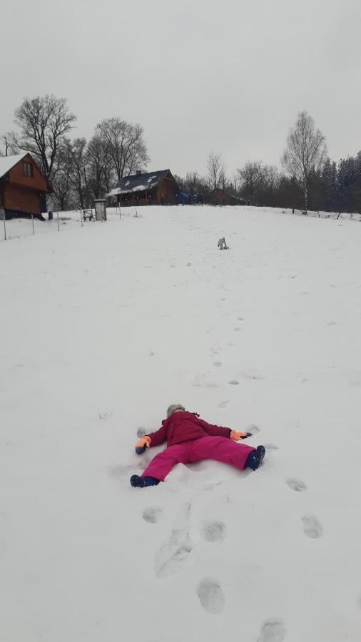 Przytulne Na Poddaszu Jelenia Góra Exterior foto